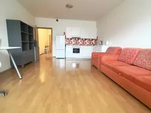 Pronájem bytu 1+kk, Praha - Záběhlice, Podle náhonu, 42 m2