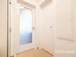 Pronájem bytu 1+kk, Praha - Žižkov, Olgy Havlové, 32 m2