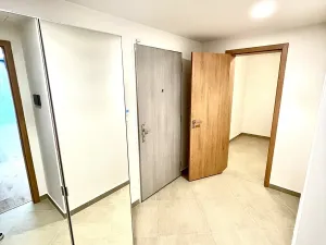 Pronájem bytu 2+kk, Praha - Žižkov, Jana Želivského, 56 m2