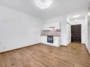 Prodej bytu 1+kk, Písek, 17. listopadu, 20 m2