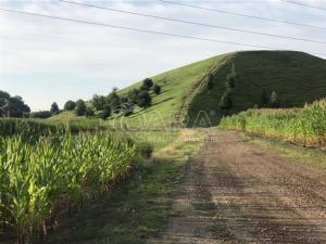 Prodej rodinného domu, Zlatníky-Hodkovice - Zlatníky, Jesenická, 421 m2