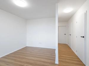 Prodej bytu 3+kk, Praha - Braník, Novodvorská, 60 m2