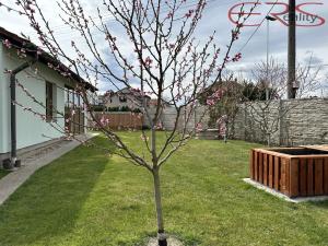 Prodej rodinného domu, Černá u Bohdanče, 180 m2
