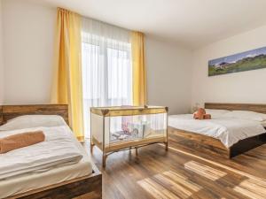 Prodej apartmánu, Červená Voda - Mlýnický Dvůr, 312 m2