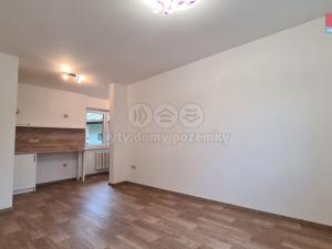 Pronájem bytu 1+kk, Štěpánovice, 45 m2