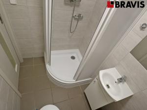 Pronájem bytu 1+kk, Brno - Černovice, Bolzanova, 22 m2