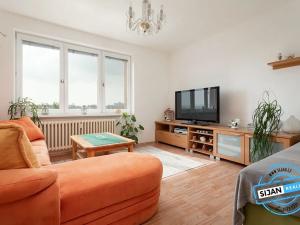 Pronájem bytu 1+1, Opava, 17. listopadu, 38 m2