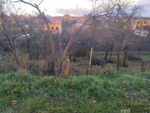 Prodej pozemku pro bydlení, Prace, 791 m2