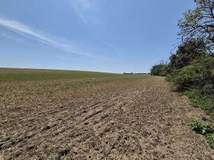 Prodej pole, Brandýs nad Labem-Stará Boleslav, 11346 m2