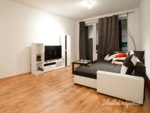 Pronájem bytu 1+kk, Moravany, Jabloňová, 36 m2