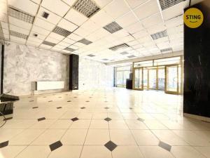 Pronájem obchodního prostoru, Kyjov, třída Komenského, 150 m2