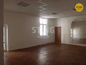 Pronájem skladu, Ostrava - Přívoz, Nádražní, 115 m2