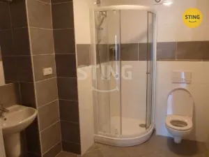 Pronájem skladu, Ostrava - Přívoz, Nádražní, 115 m2