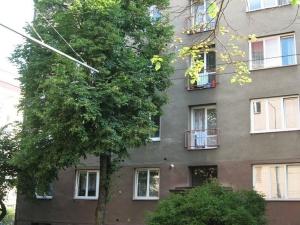 Pronájem bytu 2+1, Plzeň - Východní Předměstí, Guldenerova, 42 m2