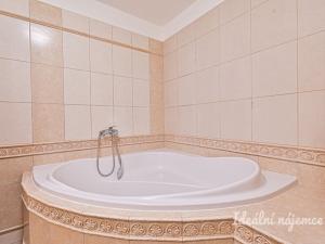 Pronájem bytu 2+kk, Brno - Veveří, Lidická, 70 m2