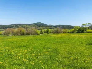 Prodej pozemku pro bydlení, Kaplice - Mostky, 698 m2