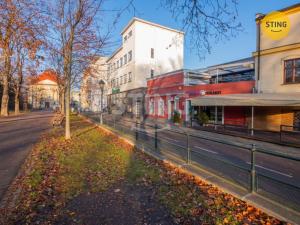 Pronájem komerční nemovitosti, Opava, sady Svobody, 250 m2