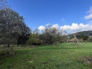 Prodej zahrady, Černá Hora, 6630 m2