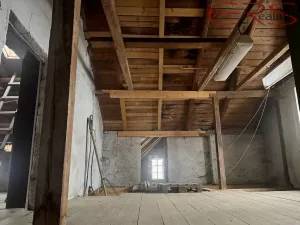 Prodej rodinného domu, Držkov, 300 m2