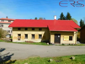 Prodej rodinného domu, Držkov, 300 m2