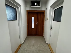 Pronájem komerčního pozemku, Malotice, 800 m2