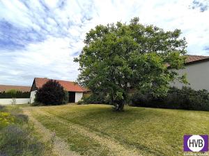 Prodej komerční nemovitosti, Běrunice, Vrška, 387 m2