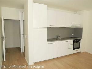 Pronájem bytu 1+kk, Brno, Mlýnská, 32 m2