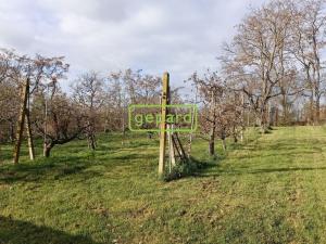 Prodej podílu 1/2 rodinného domu, Ořechov, Ořechovičská, 567 m2