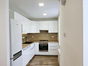 Pronájem bytu 2+kk, Ostrava, Španielova, 55 m2