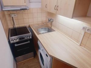 Pronájem bytu 1+kk, Krásno nad Bečvou, Zašovská, 24 m2