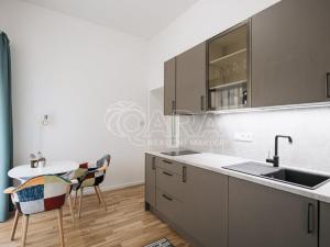 Pronájem bytu 1+kk, Praha - Nové Město, Soukenická, 30 m2