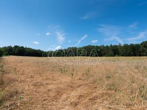 Prodej pole, Huntířov - Stará Oleška, 8980 m2