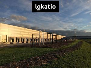 Pronájem skladu, Pavlov, 8883 m2