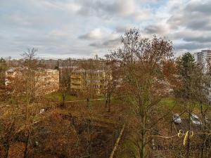 Prodej bytu 1+kk, Praha - Střížkov, Českolipská, 27 m2