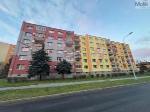 Prodej bytu 2+1, Jirkov, Jezerská, 60 m2