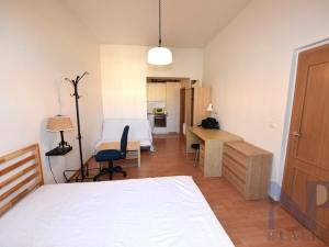 Pronájem bytu 1+kk, Praha - Nové Město, Wenzigova, 31 m2