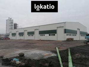 Pronájem skladu, Pardubice, 435 m2