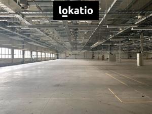 Pronájem skladu, Plzeň, 5000 m2