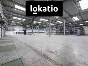 Pronájem skladu, Plzeň, 5000 m2