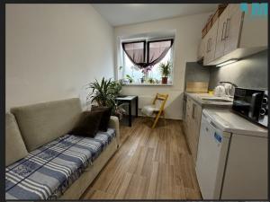 Prodej rodinného domu, Jihlava - Pávov, 773 m2