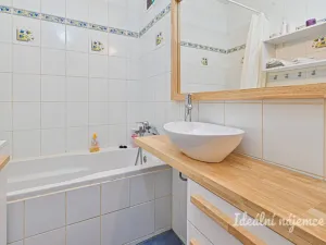 Pronájem bytu 1+1, Brno, Renčova, 45 m2