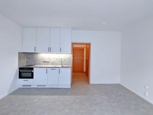 Pronájem bytu 1+kk, Karlovy Vary - Stará Role, Kryzánkova, 32 m2