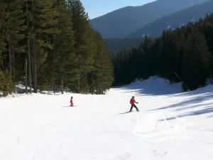 Prodej bytu 1+kk, Bansko, Bulharsko, 40 m2