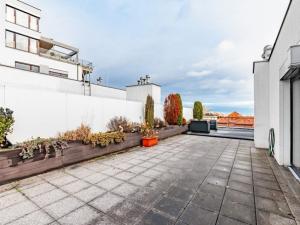 Pronájem bytu 3+kk, Praha - Vinohrady, Korunní, 146 m2