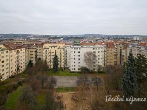 Pronájem bytu 2+kk, Brno, Kounicova, 45 m2