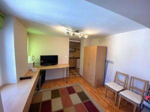 Prodej bytu 2+kk, Karlovy Vary, Zámecký vrch, 90 m2