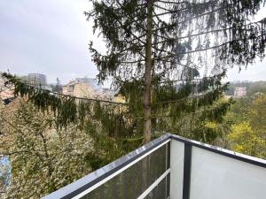 Prodej bytu 3+kk, Karlovy Vary, 81 m2