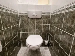 Prodej bytu 2+kk, Bílina, Bezejmenná, 49 m2