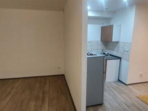 Prodej bytu 1+kk, Praha - Vršovice, Bajkalská, 35 m2