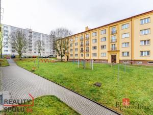 Prodej bytu 2+1, Ostrov, S. K. Neumanna, 59 m2